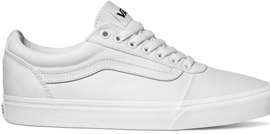 Homme Vans | Baskets Vans Homme Ward Canvas White